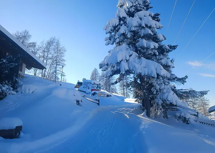 Haus Klingspitz Pilzegg *